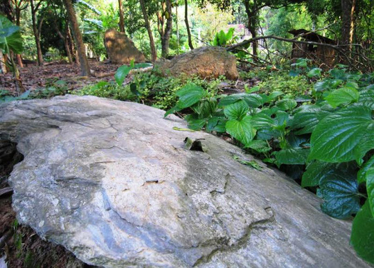 Rừng mộ đá cổ kỳ bí ở xứ Thanh - 1