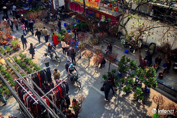 Ngắm chợ hoa lâu đời nhất của Hà Nội những ngày cuối năm - 1