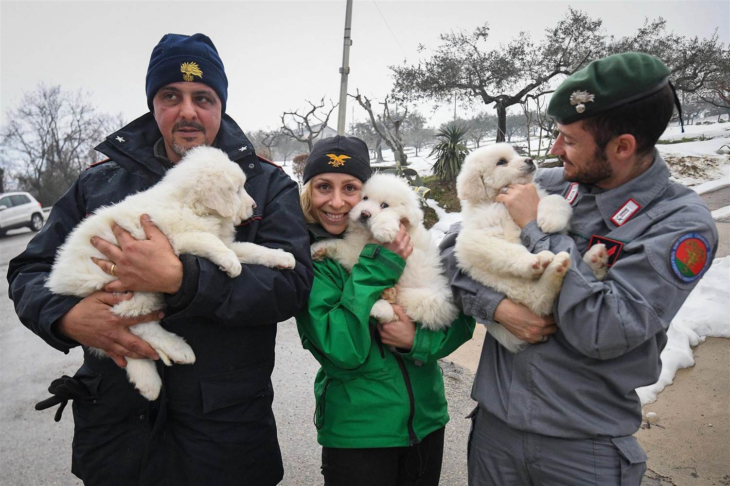 Ba chó con sống sót sau 5 ngày lở tuyết ở Ý - 1