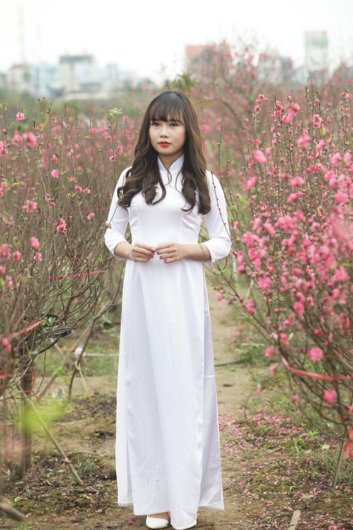 Thiếu nữ Hà thành đua nhau "tỏa sắc hương" ngày cận Tết - 2