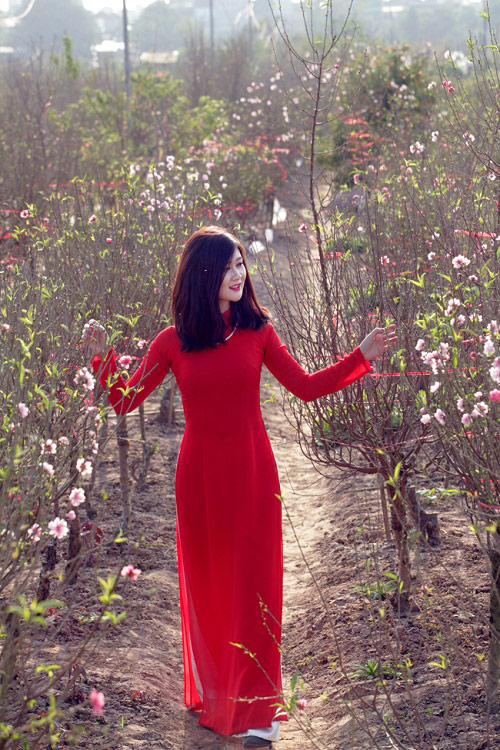 Thiếu nữ Hà thành đua nhau "tỏa sắc hương" ngày cận Tết - 5