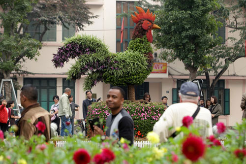 Gà trống mô hình khổng lồ khiến người HN thích thú - 1