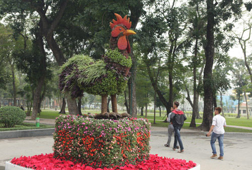 Gà trống mô hình khổng lồ khiến người HN thích thú - 5