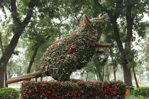 Gà trống mô hình khổng lồ khiến người HN thích thú - 8