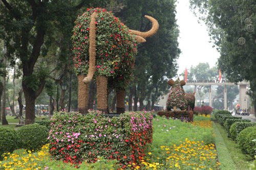 Gà trống mô hình khổng lồ khiến người HN thích thú - 6