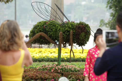 Gà trống mô hình khổng lồ khiến người HN thích thú - 4