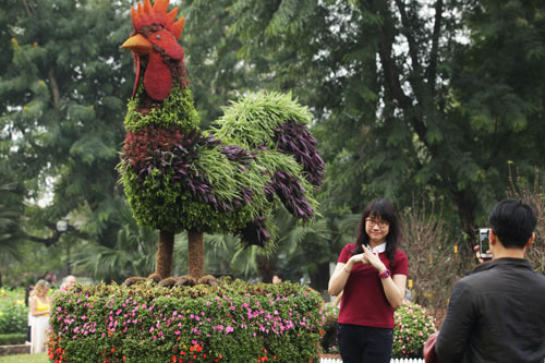 Gà trống mô hình khổng lồ khiến người HN thích thú - 3