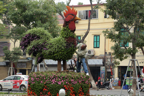 Gà trống mô hình khổng lồ khiến người HN thích thú - 2