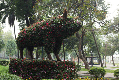 Gà trống mô hình khổng lồ khiến người HN thích thú - 13