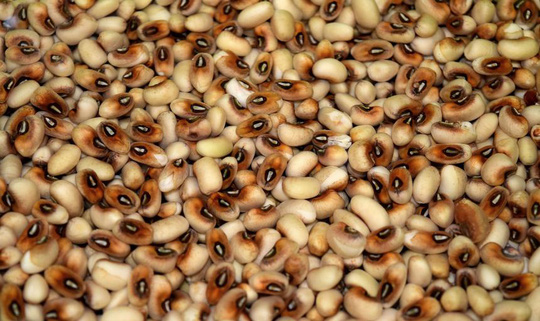 Ngày đầu năm mới, nhớ ăn 8 món này - 7