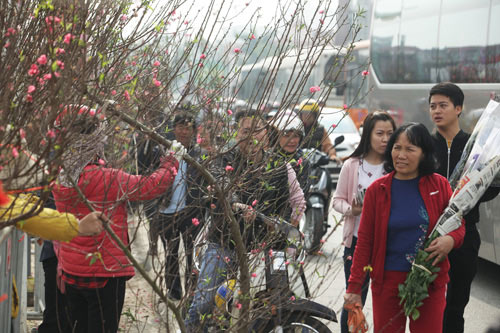 30 Tết, chen chân ở chợ hoa lớn nhất Hà Nội - 15