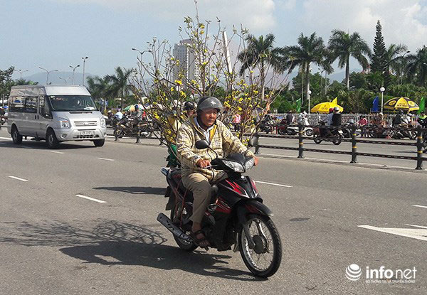 Đà Nẵng: Nắng lên, chợ hoa Tết Đinh Dậu lại sôi động! - 12