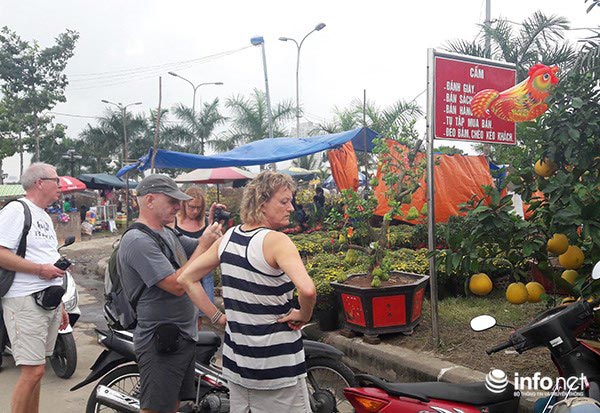 Đà Nẵng: Nắng lên, chợ hoa Tết Đinh Dậu lại sôi động! - 8