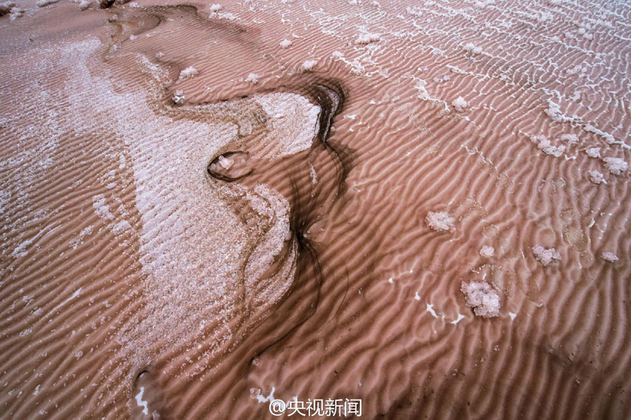 Ngỡ ngàng vẻ đẹp kỳ ảo của &#34;sa mạc hồng&#34; ở Trung Quốc - 1