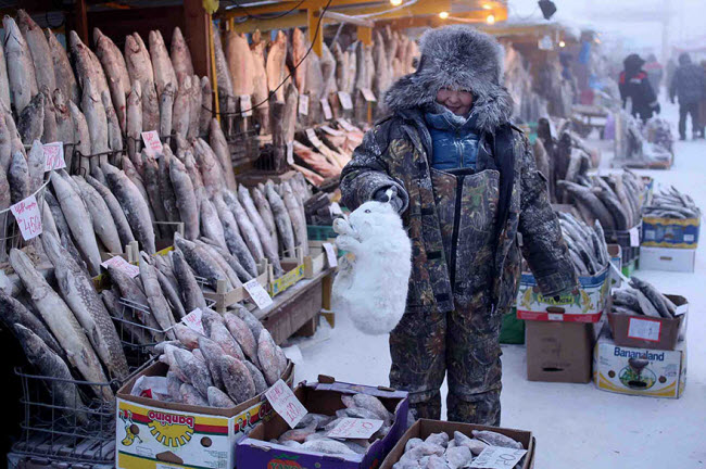 Nguồn cung cấp thực phẩm chính cho người dân ở ngôi làng Oymyakon là khu chợ trung tâm ở thành phố Yakutsk (ảnh). Nơi đây bán đầy đủ các loại cá, thịt và ngũ cốc.