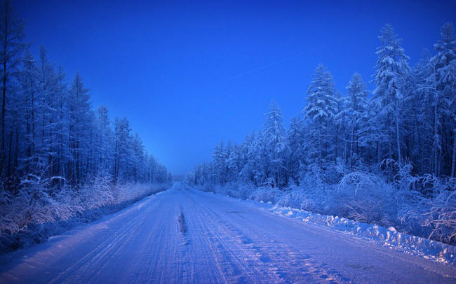 Tuyết trắng phủ kín cây và con đường duy nhất dẫn vào ngôi làng Oymyakon.