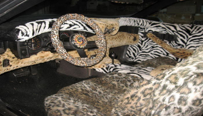 DreamRyder - Chiếc xe Camaro với ngoại hình "điên rồ nhất" - 8