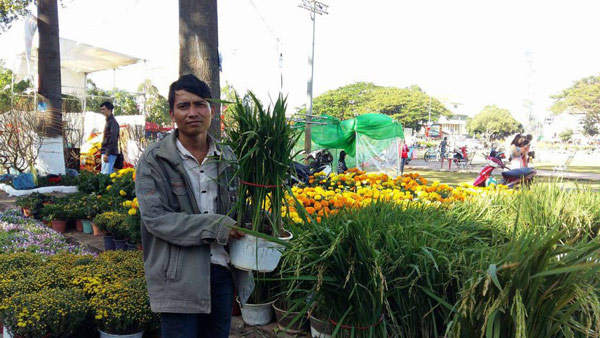 Nhà vườn "kỳ lạ" ở Tây Nguyên - 3