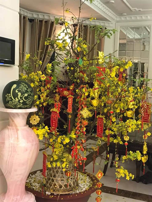 "Thăm" biệt thự xa hoa của vợ chồng Thuỷ Tiên - Công Vinh ngày Tết - 13