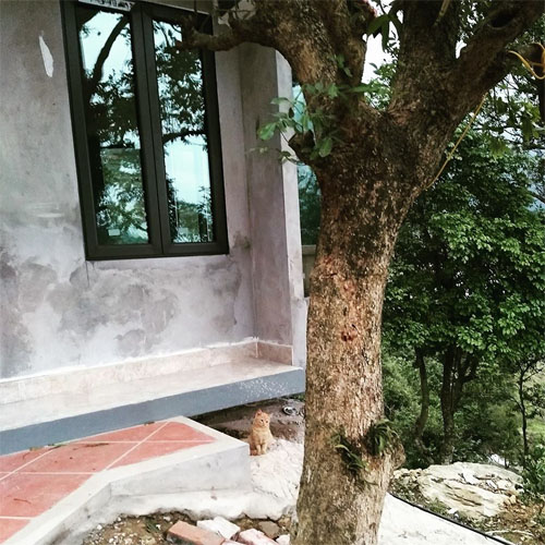 "Thăm" biệt thự xa hoa của vợ chồng Thuỷ Tiên - Công Vinh ngày Tết - 6