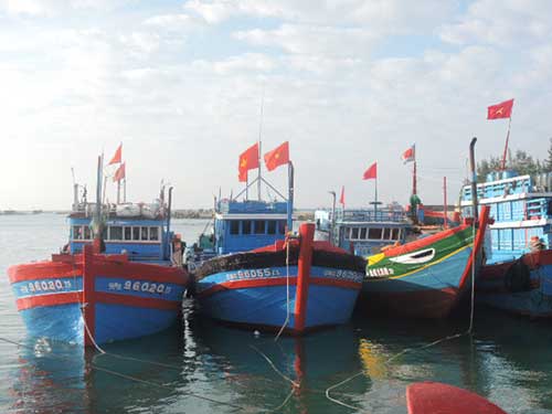 Phóng sự ảnh: Tết trên đảo Lý Sơn - 3