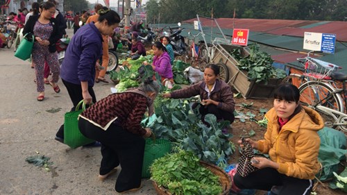 Thịt, rau đứng giá, thực phẩm may mắn cho ngày đầu năm mới “cháy hàng“ - 6