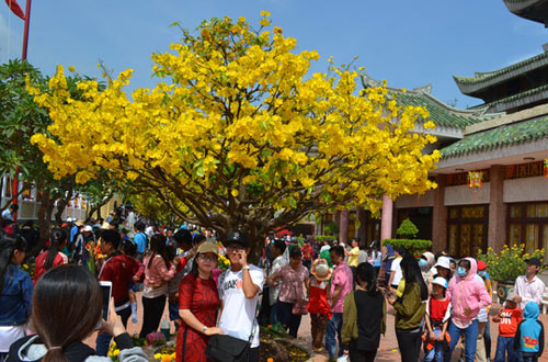 Chen chân xin lộc Bà Chúa Xứ - 12