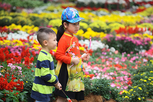 Tận thấy hội hoa xuân lớn nhất miền Bắc ngày đầu năm - 3