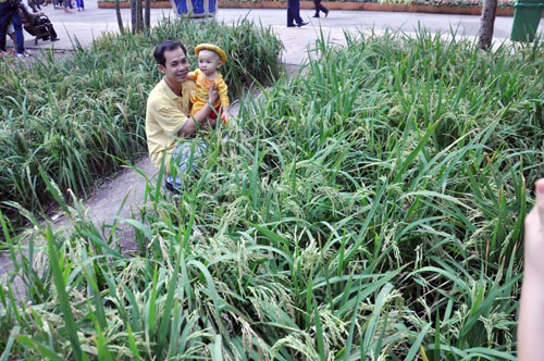 Hàng ngàn người xúng xính áo mới du xuân ở Sài Gòn - 7