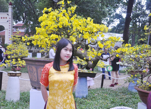 Ngắm mai giật giải đặc biệt, “hái” vàng ở Hội hoa xuân SG - 15