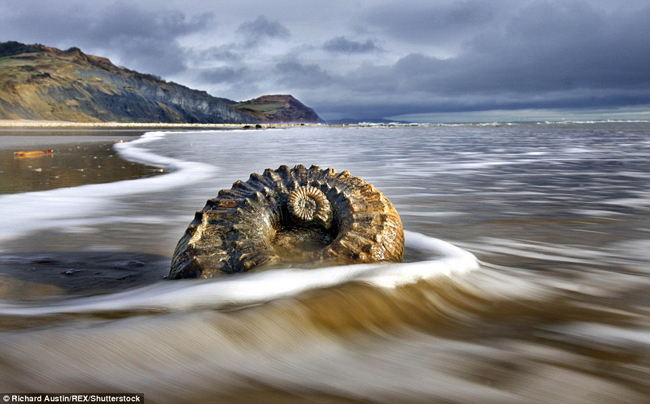 Là nơi duy nhất tại Anh lọt vào danh sách này, bãi biển Lyme Regis thuộc hạt Dorset được bao quanh bởi Jurassic Coast, với các vách đá được hình thành từ kỷ Jura, thu hút nhiều thợ săn hóa thạch tới đây.