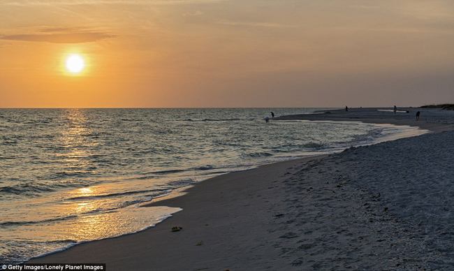 Bowman's Beach tại Sanibel Island, Florida (Mỹ) là điểm đến quen thuộc cho những người thích sưu tập vỏ sò.
