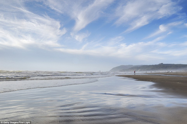 Bãi biển Cannon tại bang Oregon (Mỹ) lọt vào danh sách nhờ việc cho phép những chú cún và chủ của chúng cùng nhau đi dạo trên bãi cát.