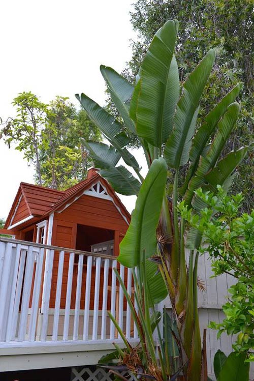 Những biệt thự tuyệt đẹp của sao Việt ở trời Tây - 4