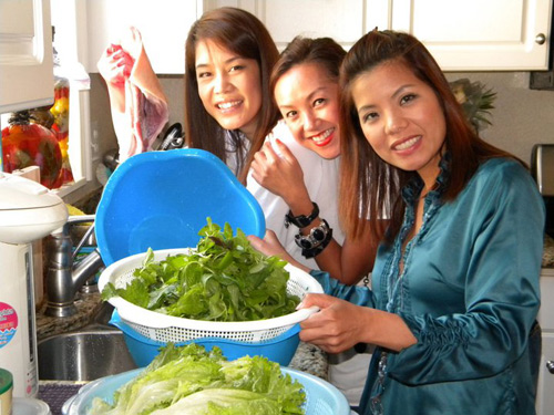 Những biệt thự tuyệt đẹp của sao Việt ở trời Tây - 8