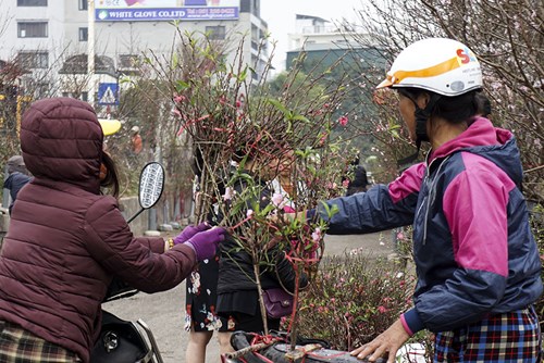 Đào Nhật Tân tấp nập ra chợ trước ngày Rằm tháng Giêng - 11