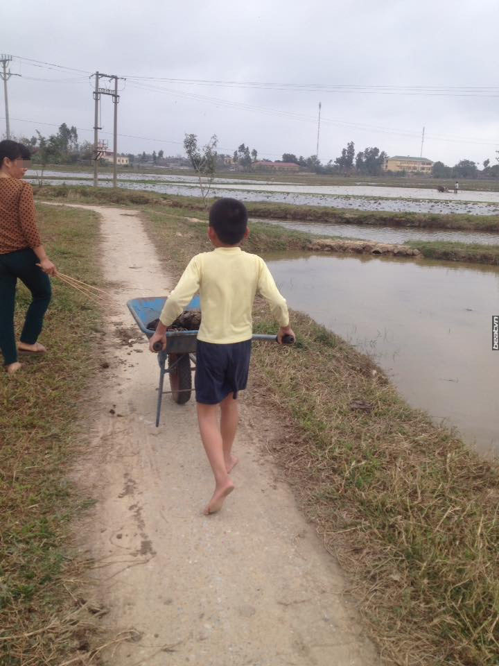 Xôn xao clip mẹ bắt con bốc phân vì không thích đi học - 2