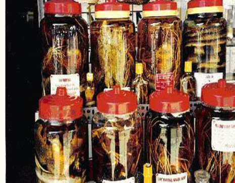 Rượu thuốc, bổ đâu chưa thấy chỉ thấy… bổ ngửa - 2