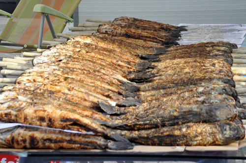 Hàng ngàn con cá lóc “xuất xưởng” trong ngày vía Thần Tài - 7