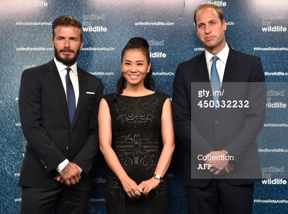 David Beckham và những lần gây bão showbiz Việt - 12