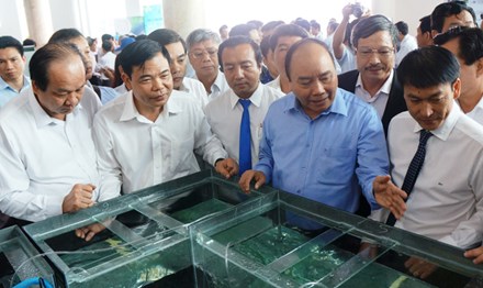 Thủ tướng: Đưa Việt Nam thành công xưởng tôm của thế giới - 1