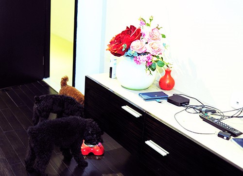 Choáng với ngôi nhà sang chảnh của Dương Triệu Vũ - 12