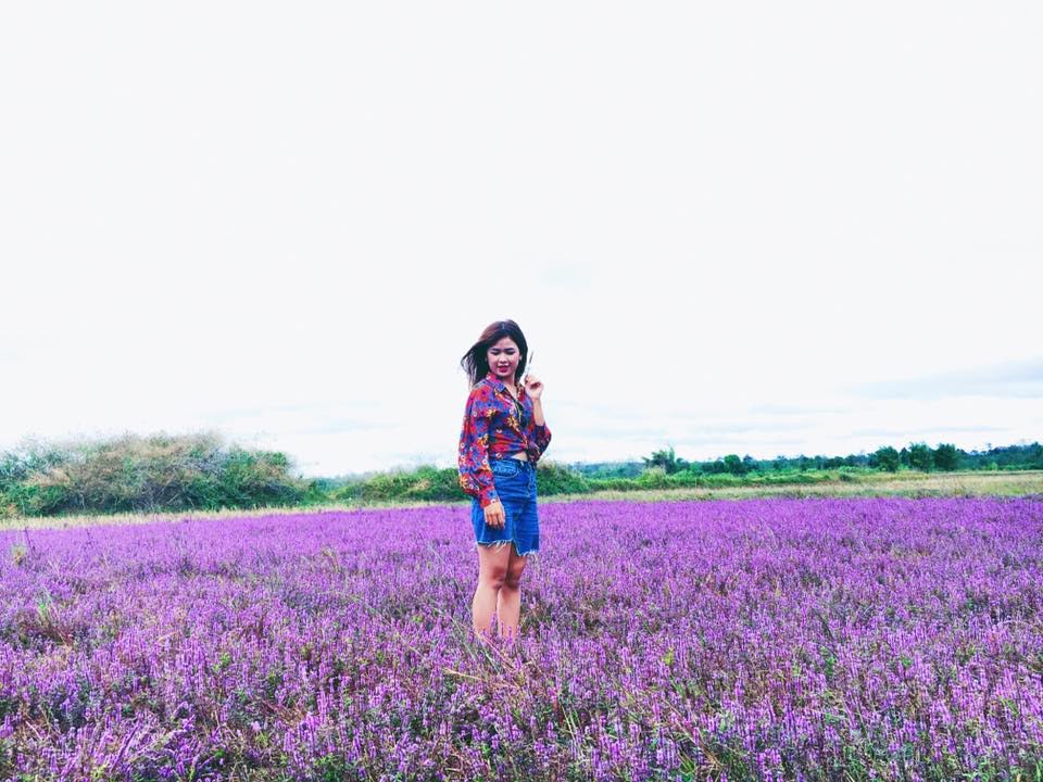 Cánh đồng hoa tím biếc đẹp ngỡ trời Âu ở Đắk Lắk - 1