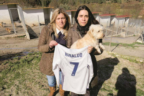 Ronaldo hào phóng, cứu sống 80 chú chó - 1