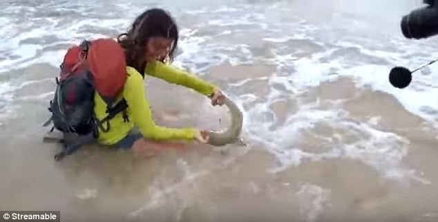 Brazil: Cô gái &#34;lĩnh đòn&#34; vì lôi cá mập lên bờ chụp ảnh - 1