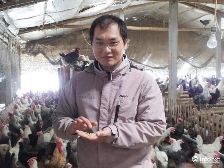 Thạc sĩ nước ngoài về quê “xúc phân gà”, kiếm tiền tỉ mỗi năm - 1