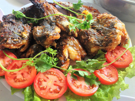 Độc, lạ cá mao ếch nướng muối ớt - 1