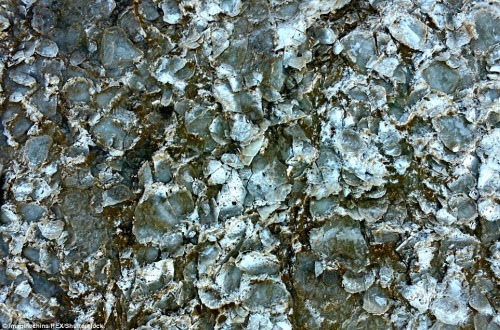 Ngắm sông dài thứ 2 châu Á “thức giấc” sau mùa đông - 7