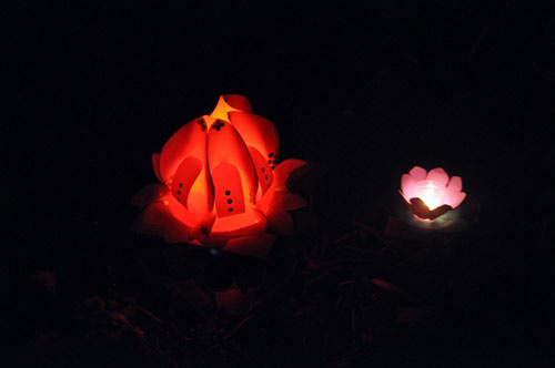 Hoa đăng rực sáng trên sông Sài Gòn đêm rằm tháng Giêng - 10