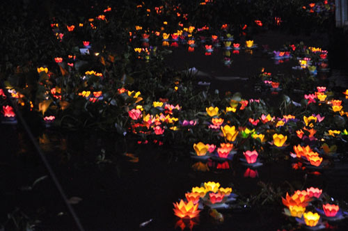 Hoa đăng rực sáng trên sông Sài Gòn đêm rằm tháng Giêng - 11